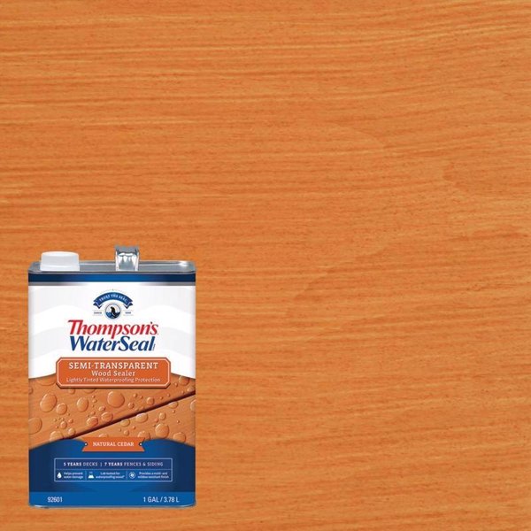 Thompsons Waterseal Semi-Transparent Natural Cedar Waterproofing Wood Stain and Sealer 1 gal TH.092601-16